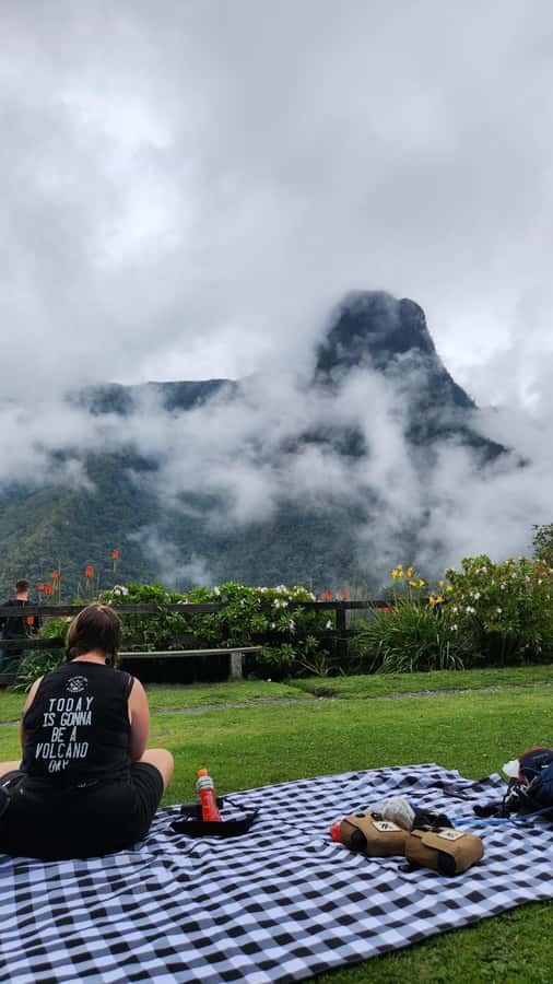Cocora Valley: Route of the Hummingbirds + breakfast & lunch - Mountaintop picnic near Morrogacho: views you can actually pause for