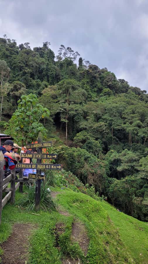 Cocora Valley: Route of the Hummingbirds + breakfast & lunch - Small group of 8, multilingual guides, and hands-on spotting