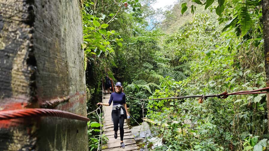 Cocora Valley: Route of the Hummingbirds + breakfast & lunch - Price and value: what $129 gives you in a full day