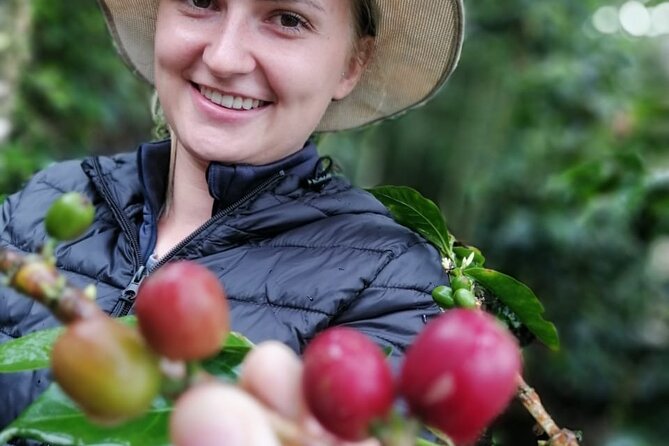 Cocora Valley, Salento and Coffee Farm Day Tour - The coffee farm experience: from cherry to roast step by step