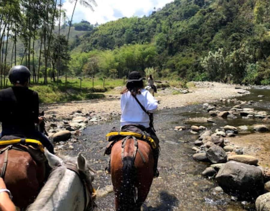 Cocora Valley: Salento & Private Horseback Riding Tour - From your pickup to first saddles in Salento