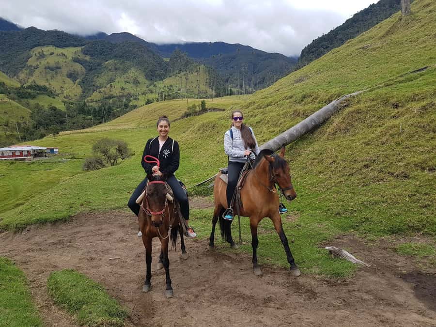 Cocora Valley: Salento & Private Horseback Riding Tour - The Cocora Valley walk: wax palms, photos, and a guided pace