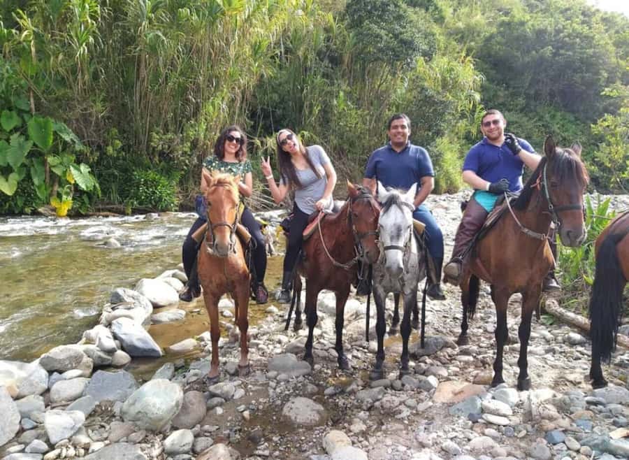 Cocora Valley: Salento & Private Horseback Riding Tour - The traditional Willys jeep ride: part nostalgia, part history lesson