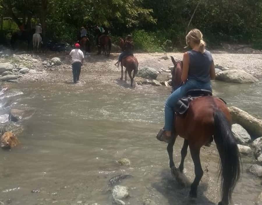 Cocora Valley: Salento & Private Horseback Riding Tour - Price: what $171 per person buys you in the real world