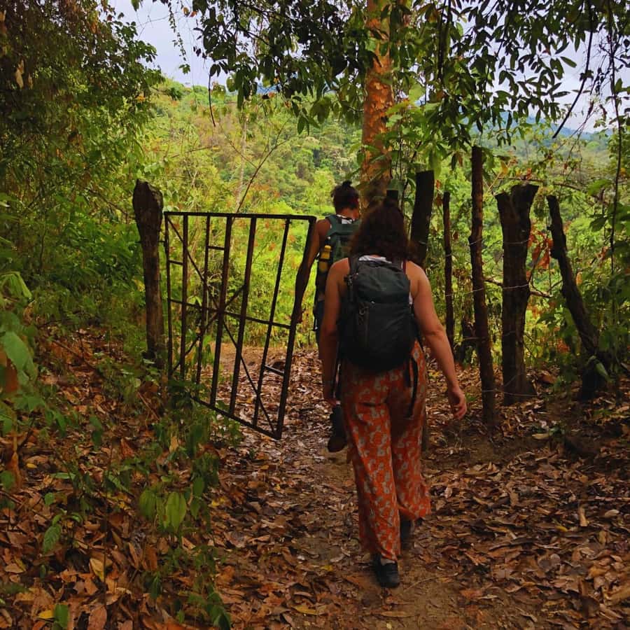Coffee, Cocoa and Trekking Tour in Minca: Nature, Crops and Production - Key things I’d put on your radar