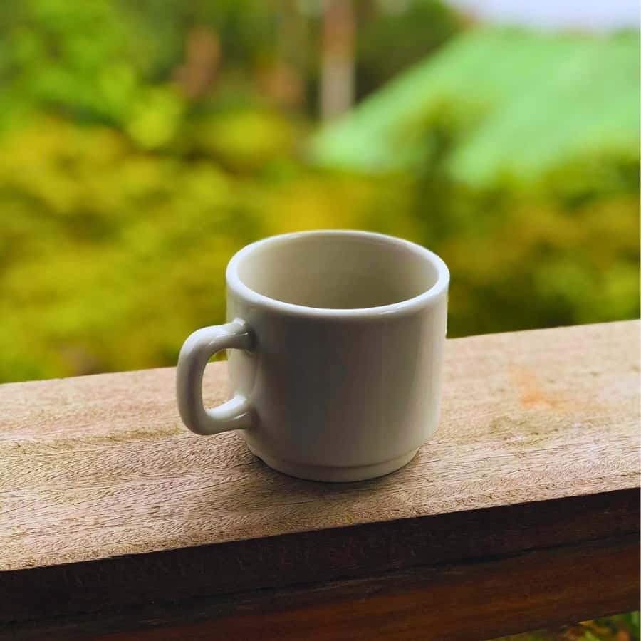Coffee, Cocoa and Trekking Tour in Minca: Nature, Crops and Production - The pace, the effort, and what to pack for the real day