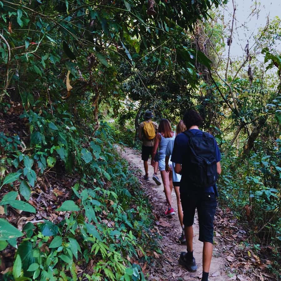 Coffee, Cocoa and Trekking Tour in Minca: Nature, Crops and Production - Guides, language, and how the tour stays personal