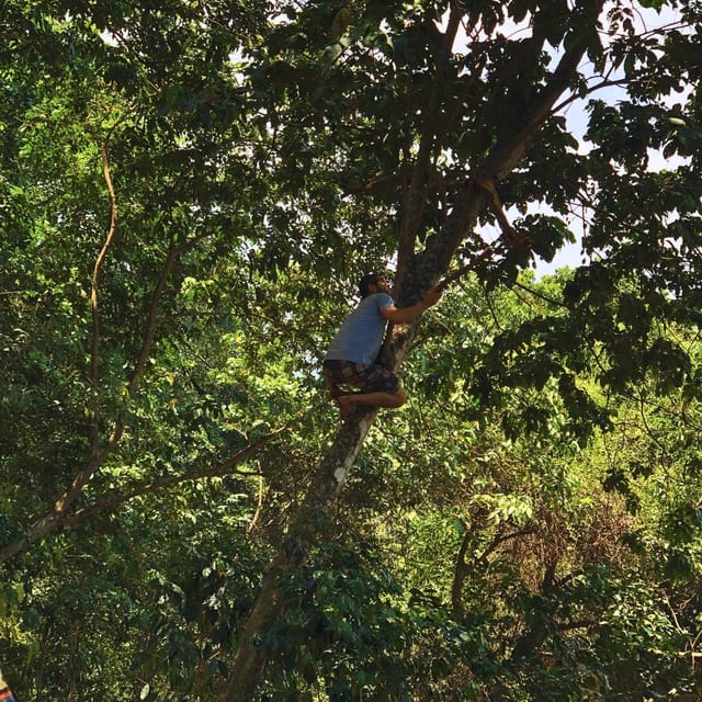 Coffee, Cocoa and Trekking Tour in Minca: Nature, Crops and Production - Value check: is $41 a good deal for what you get?