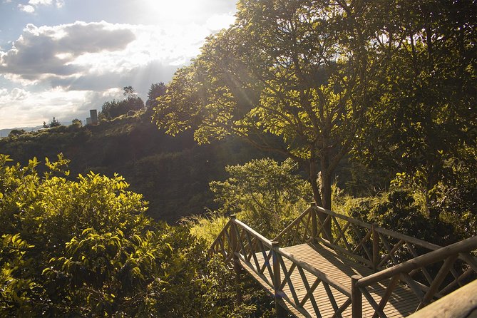 Coffee Experience from bean to cup - The Hacienda Experience: Where Farming Meets the Cup
