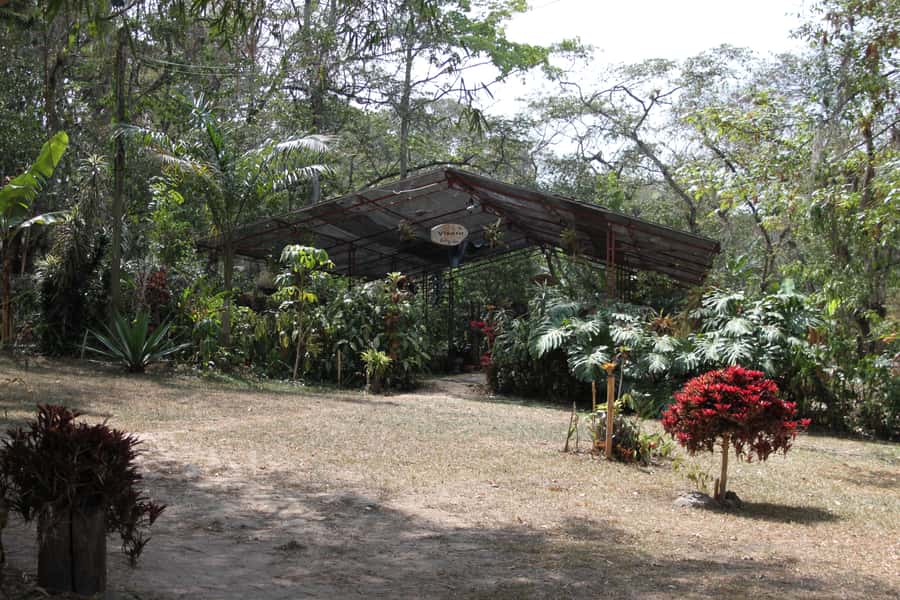 Coffee Experience: Hacienda Coloma Tour from Bogotá - Should You Book the Hacienda Coloma Coffee Tour From Bogotá?