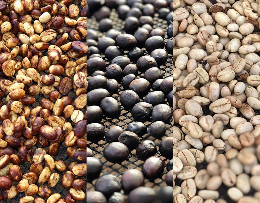 Coffee Farm and Salento Walking Tour - Logistics That Affect Your Day: Pickup, Timing, and Comfort