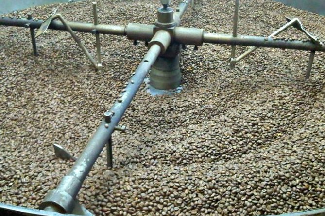 Coffee Farm Experience Private Day Tour - Why Hacienda Coloma makes sense for a Bogotá day trip