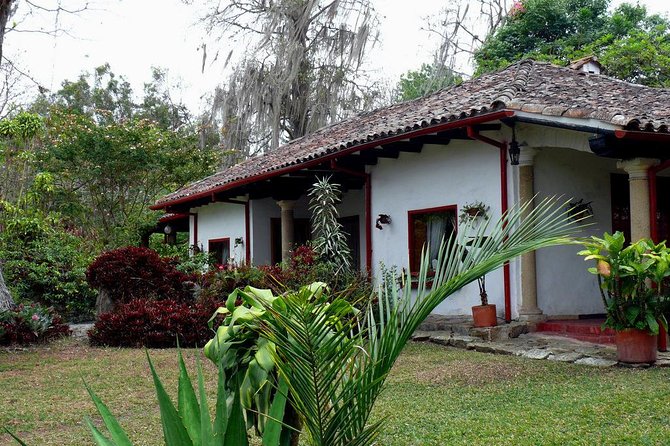 Coffee Farm Experience Private Day Tour - Orchids, animals, and the calm farm feel during your 4 hours
