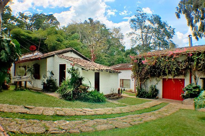 Coffee Farm Experience Private Day Tour - Coffee tasting plus coffee liquor: what you should expect at the end