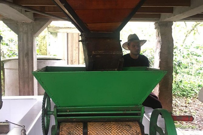 Coffee Farm Experience Private Day Tour - Private tour value: the guide experience is half the point