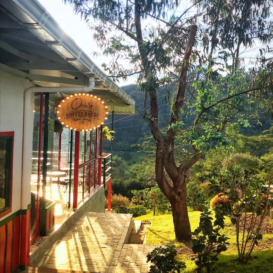 Coffee Farm Tour at Finca El Ocaso from Salento - FAQ