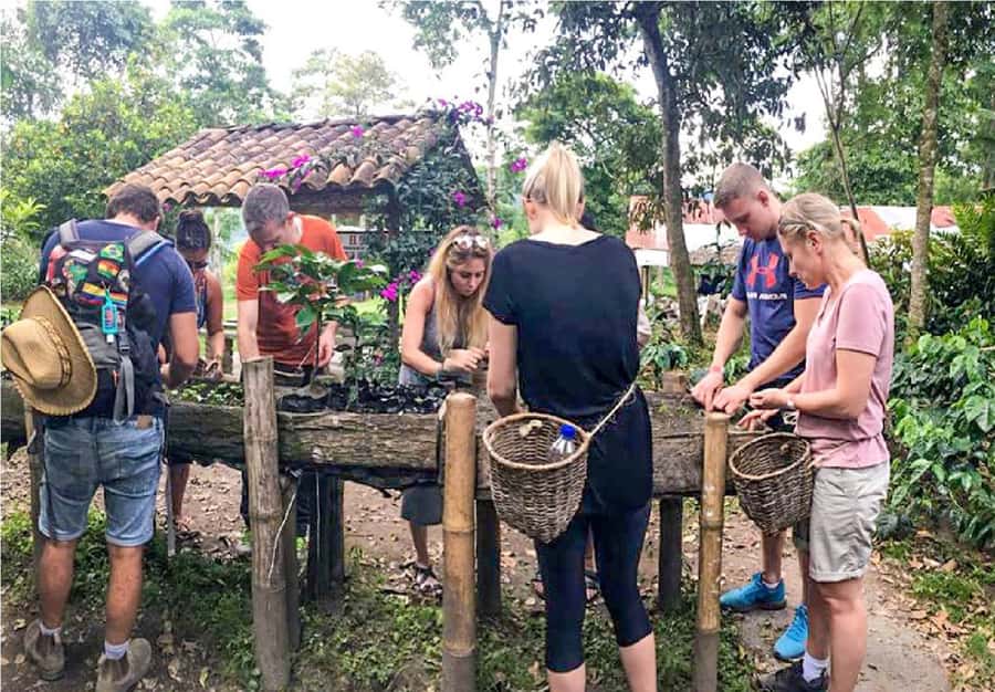 Coffee Farm Tour at Finca El Ocaso from Salento - Harvesting, processing, roasting, grinding: the step-by-step you’ll remember