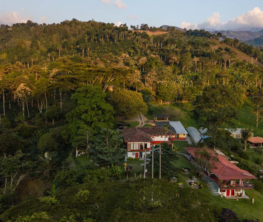 Coffee Farm Tour at Finca El Ocaso from Salento - Small group comfort, guide support, and what to bring