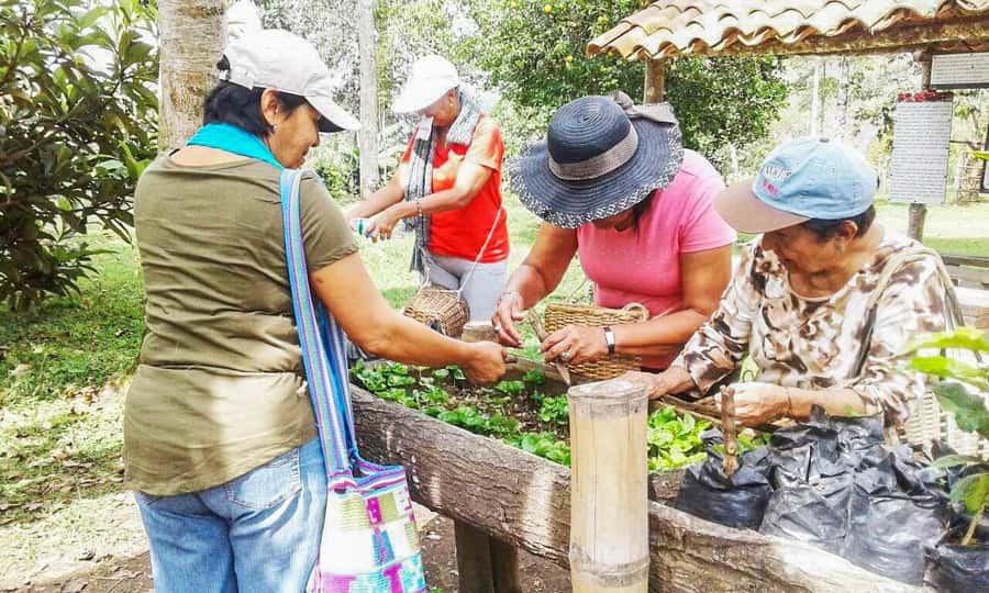 Coffee Farm Tour at Finca El Ocaso from Salento - Price and value: is $93 a good deal?
