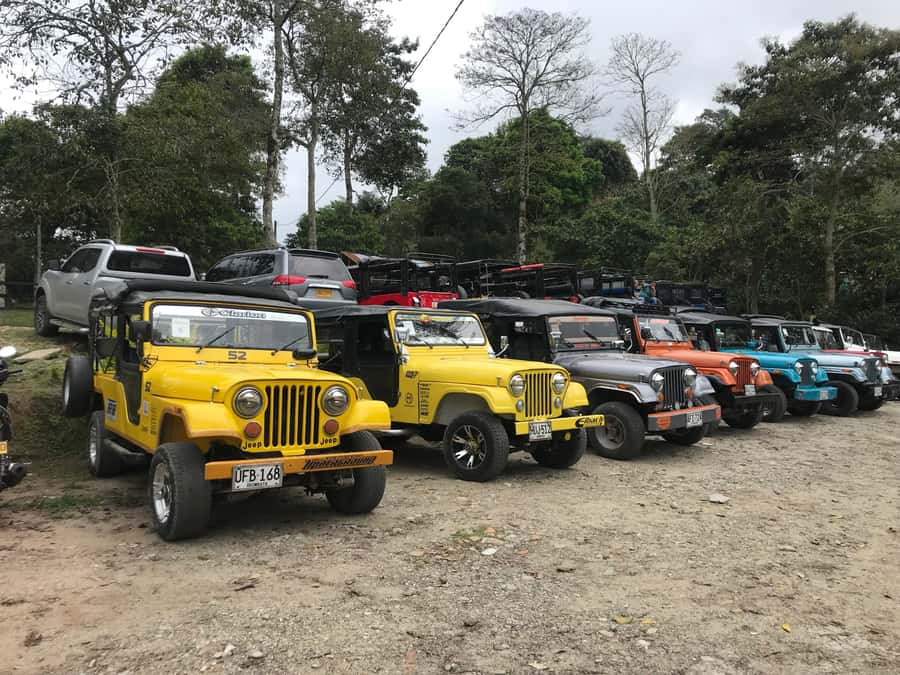 Coffee Farm Tour at Finca El Ocaso from Salento - Who should book this coffee farm tour from Salento