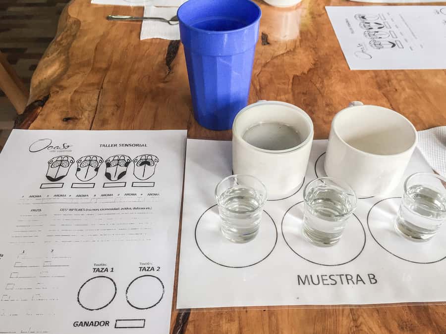 Coffee Farm Tour at Finca El Ocaso from Salento - Should you book? My take