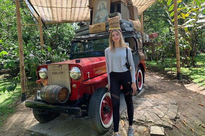 Coffee Farm Tour from Bogotá – Be a Farmer for a Day - The return drive back to Bogotá, with one last look at the Andes
