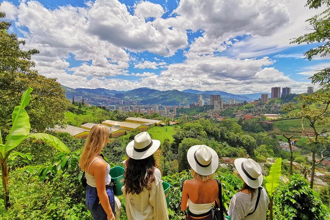 Coffee & Horses Private Tour in Medellin: A Fun & Authentic Day - Key highlights you should know before you go
