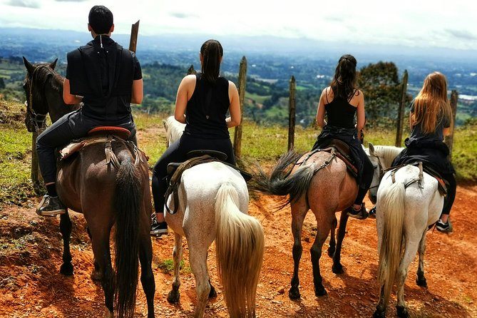 Coffee & Horses Private Tour in Medellin: A Fun & Authentic Day - Lunch that fits the theme, and how to get the most out of it