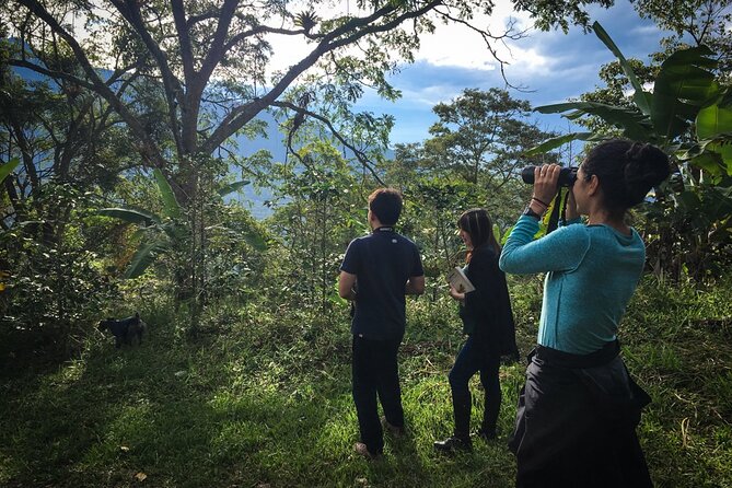 Coffee Lands Birdwatching (transport + guiding + lunch) - Getting there: pickup from Hotel Marriott Bogotá and a long day