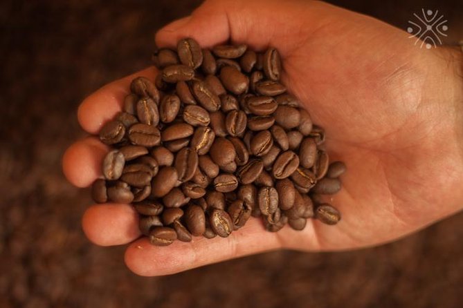 Coffee Paradise at El Paraiso - Experience from Bogota - Processing coffee the Colombian way: washed, fermented, and dried