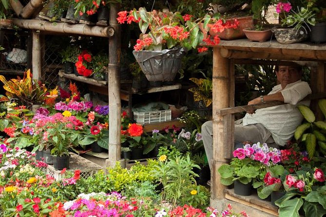 Coffee Paradise at El Paraiso - Experience from Bogota - San Francisco town stop: traditional lunch and a slower end to the day