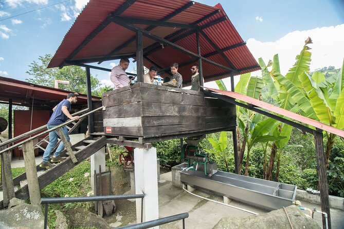 Coffee Paradise at El Paraiso - Experience from Bogota - Who this tour suits best (and who might want a different plan)