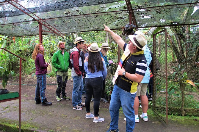 Coffee Plantation Tour From Bogota - Hacienda Coloma: from first steps to the final cup