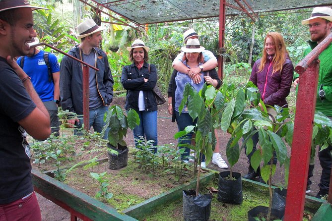 Coffee Plantation Tour From Bogota - Coffee tasting and coffee cups: making it practical