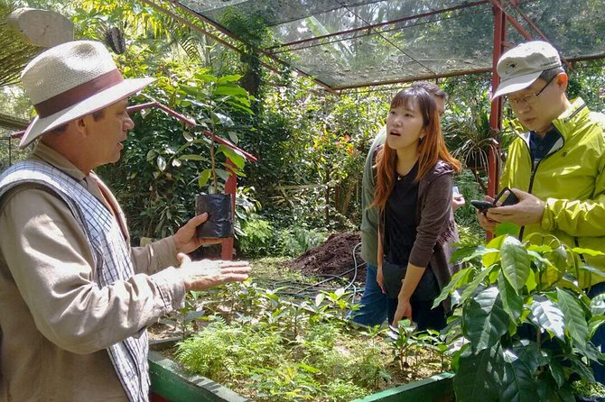 Coffee Plantation Tour From Bogota - The 8-hour flow: start time, travel rhythm, and pacing