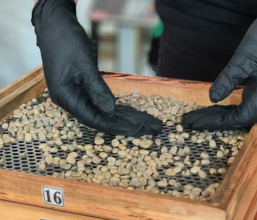 Coffee Tasting Experience in Cali - Price and value of $64 for a hands-on learning afternoon