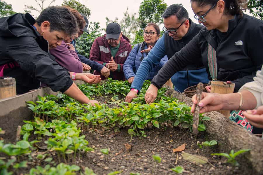 Coffee Tour at Finca El Ocaso Salento: Traditional Spanish Farm - The 90-minute itinerary: what you’ll learn first, and why it matters