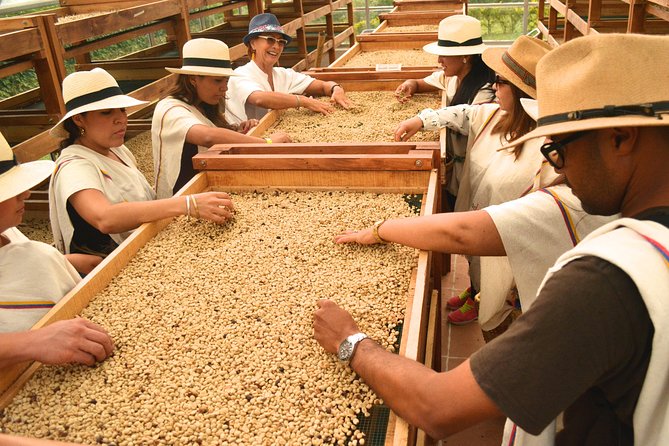 Coffee Tour at the Finca del Café - Where the Tour Starts at Finca del Café