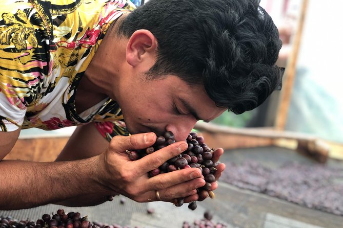Coffee Tour Finca Jaguar - Key highlights worth planning for
