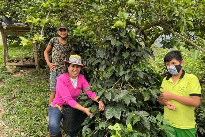 Coffee Tour Finca Jaguar - Finca La Esperanza: cherry picking and learning each coffee step
