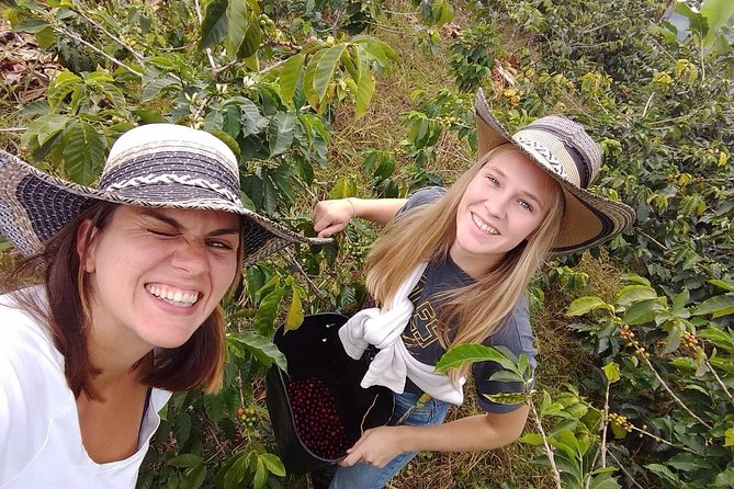 Coffee Tour Finca Jaguar - Price and time: is $130 worth it?