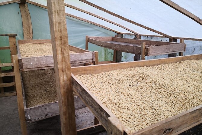 Coffee Tour from Coffee Growers to Your Cup - Riding south: the Fusagasugá travel segment that sets the mood