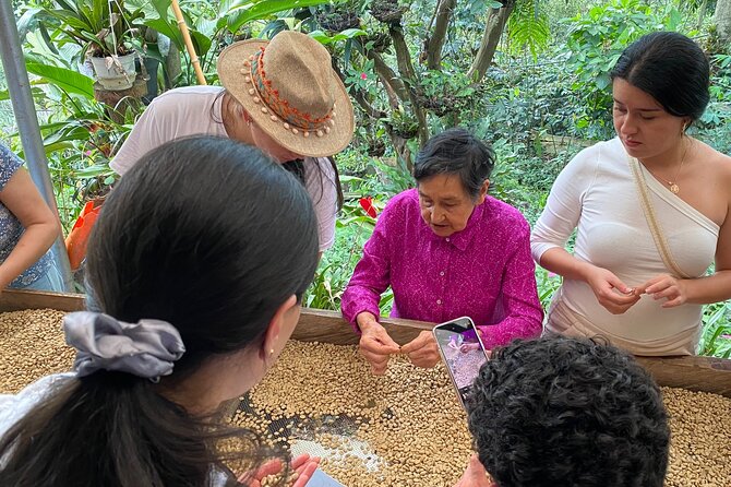 Coffee Tour from Coffee Growers to Your Cup - La Primavera organic coffee farm in Fusagasugá: the part you came for