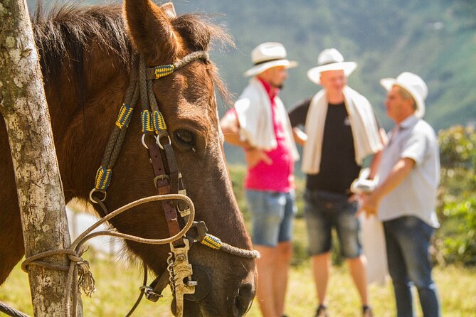 Coffee Tour In Horse Riding and Lunch In Medellin - Getting Out of Medellín: The Real Point of This Trip