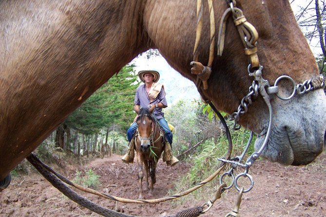 Coffee Tour In Horse Riding and Lunch In Medellin - Coffee Tastings and the Arriero Costume Moment