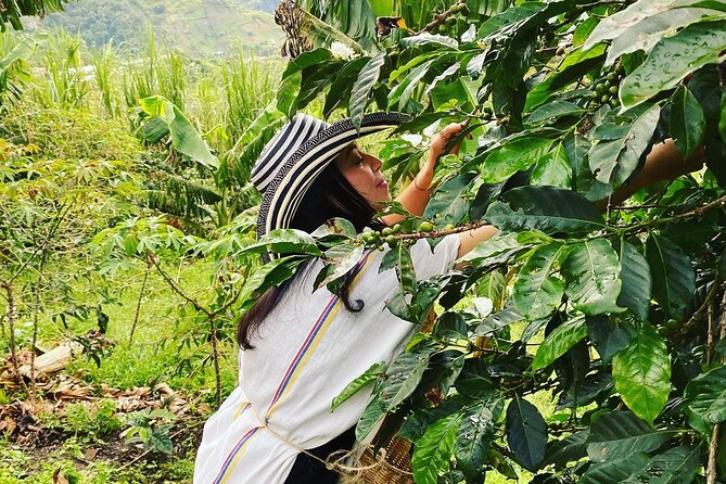 Coffee tour in Medellín with tastings and transportation - Getting to La Finca La Arrinconada: The Medellín Pickup That Matters