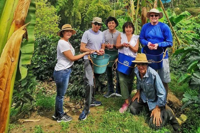 Coffee Tour in the Beautiful Jardin Town: Adventure in the Andes - The Coffee Process You’ll Understand by the End of the Finca Visit