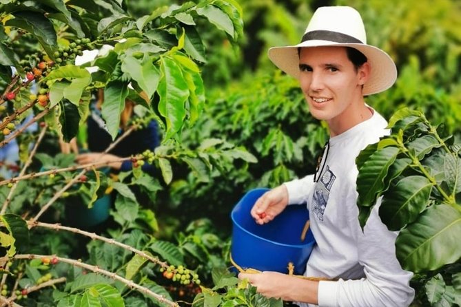 Coffee Tour in the Beautiful Jardin Town: Adventure in the Andes - Farm Lunch and Snacks: Built for a Long Day in the Andes