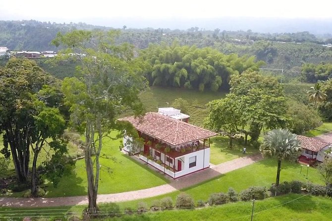 Coffee tour in the heart of the coffee region - Tour style: private group, mobile ticket, and a calm pace