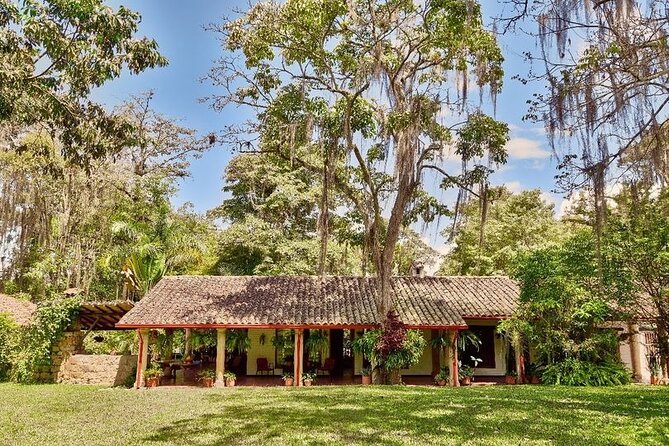 Coffee tour & rum tasting - Key highlights at a glance